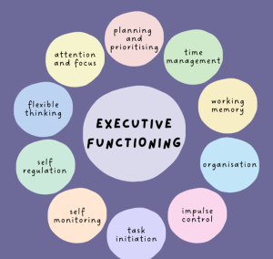 Cognitive and Executive Functioning